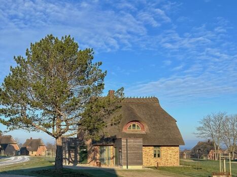 Die Sandkoppel im Frühjahr