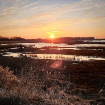 Sonnenuntergang bei einem Birk-Spaziergang