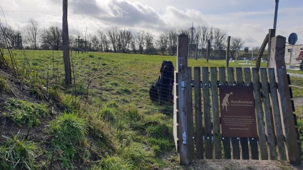 komplett eingezäunte Hundewiese zum Toben