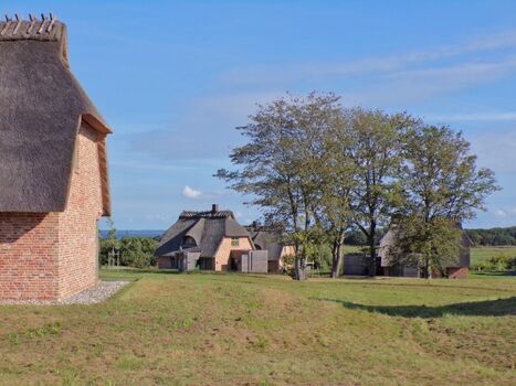 Ausblick von der Sandkoppel im Hochsommer