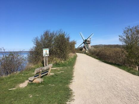 Naturschutzgebiet Geltinger Birk