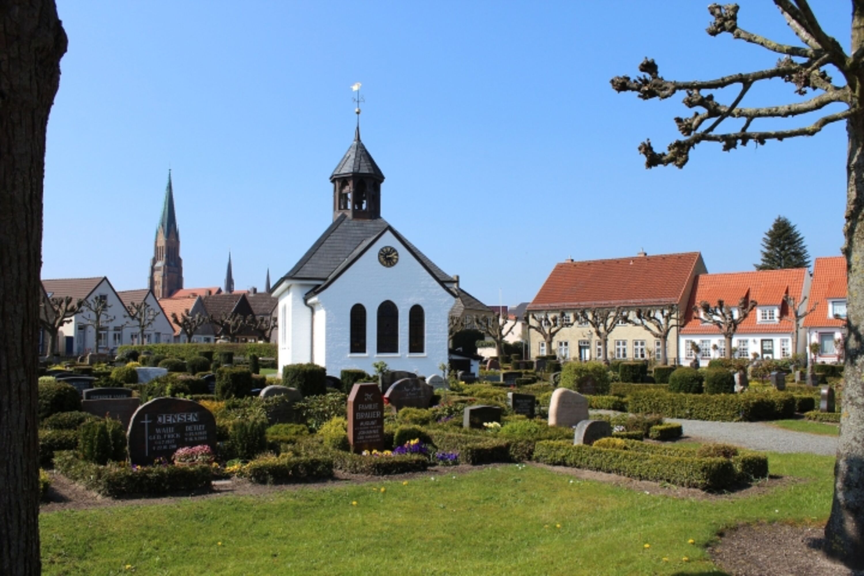 Fischerholm in Schleswig