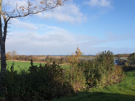 Ausblick von der Terrasse nach links