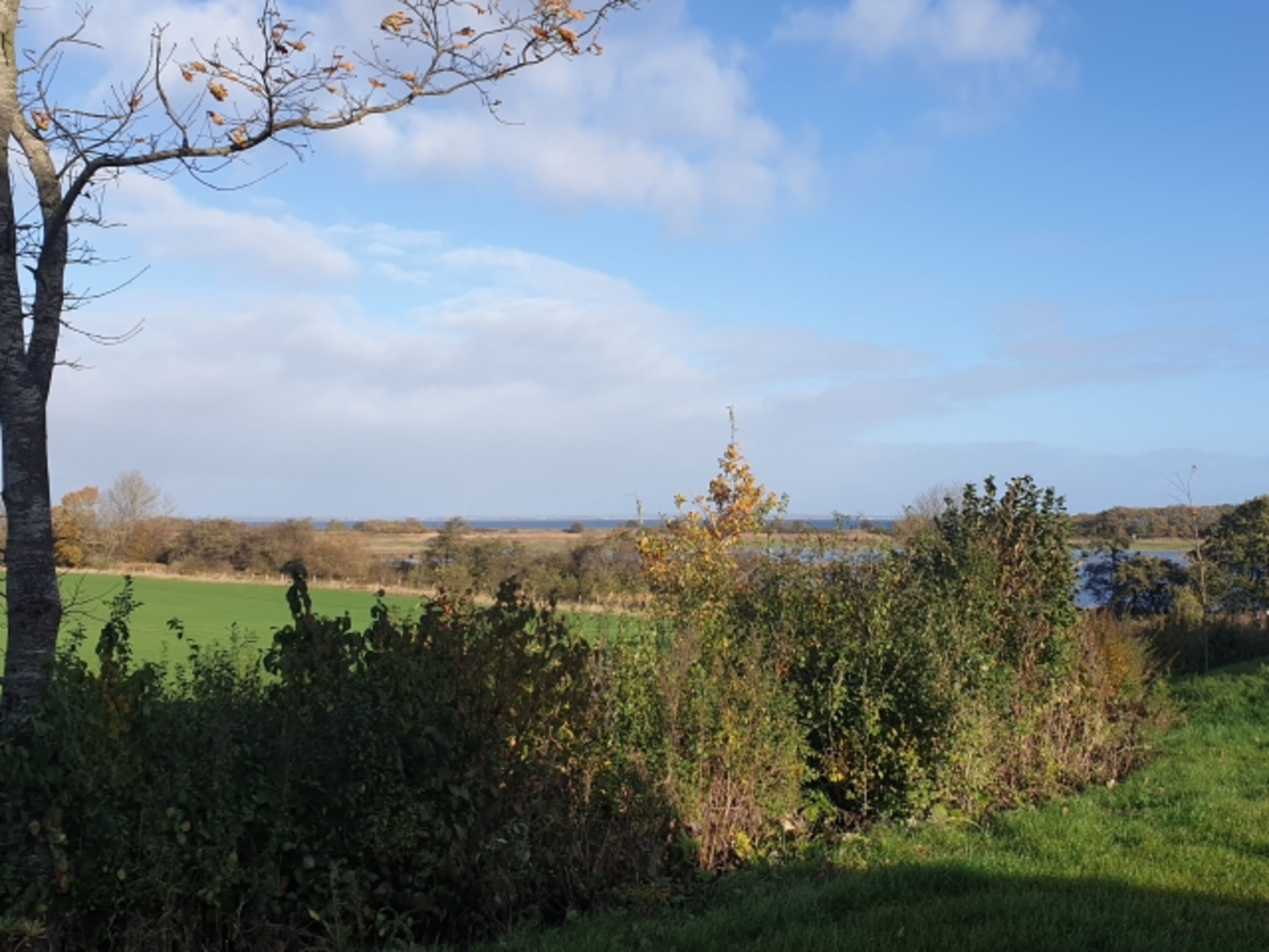 Ausblick von der Terrasse nach links
