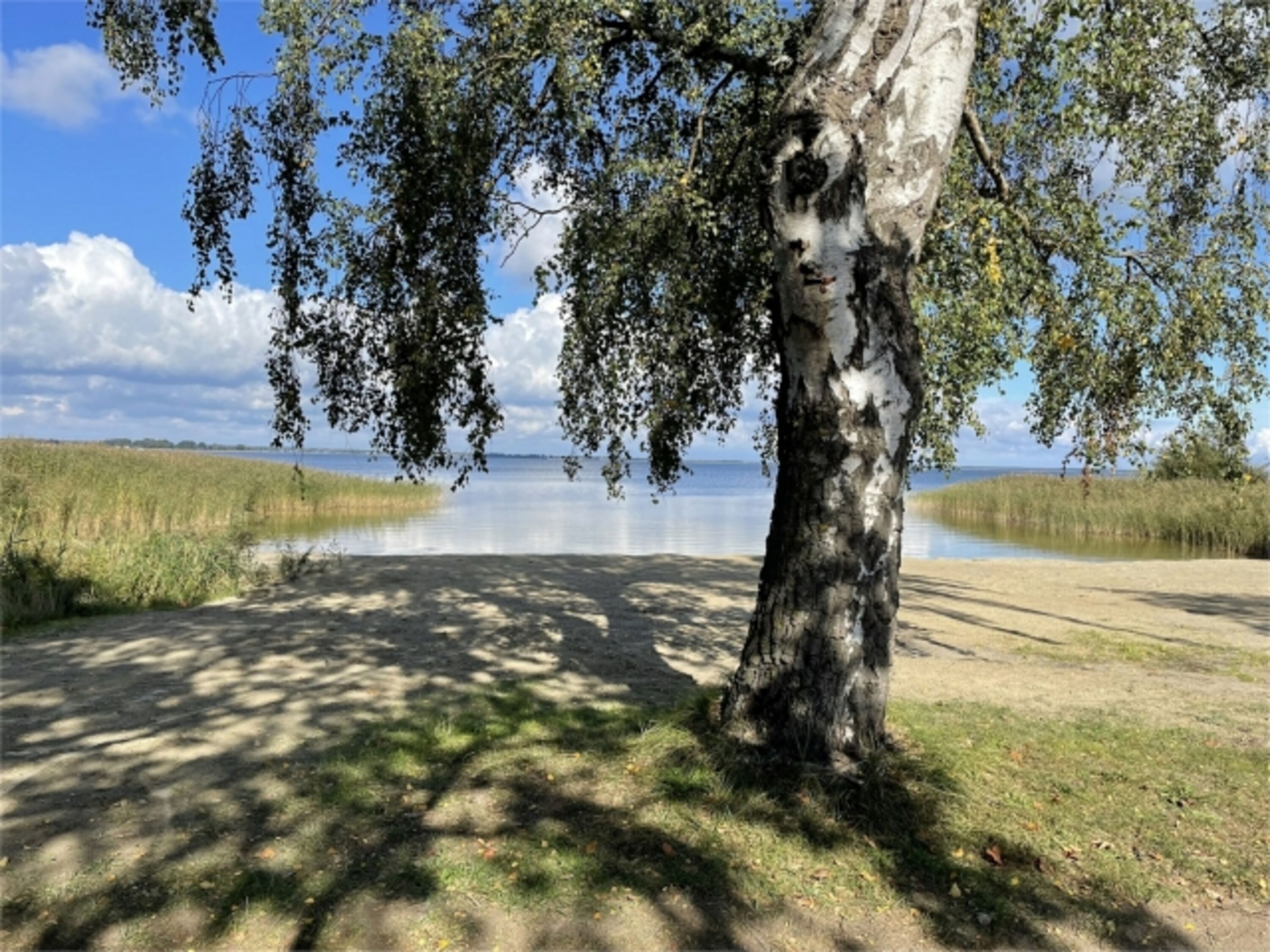 Bodden
