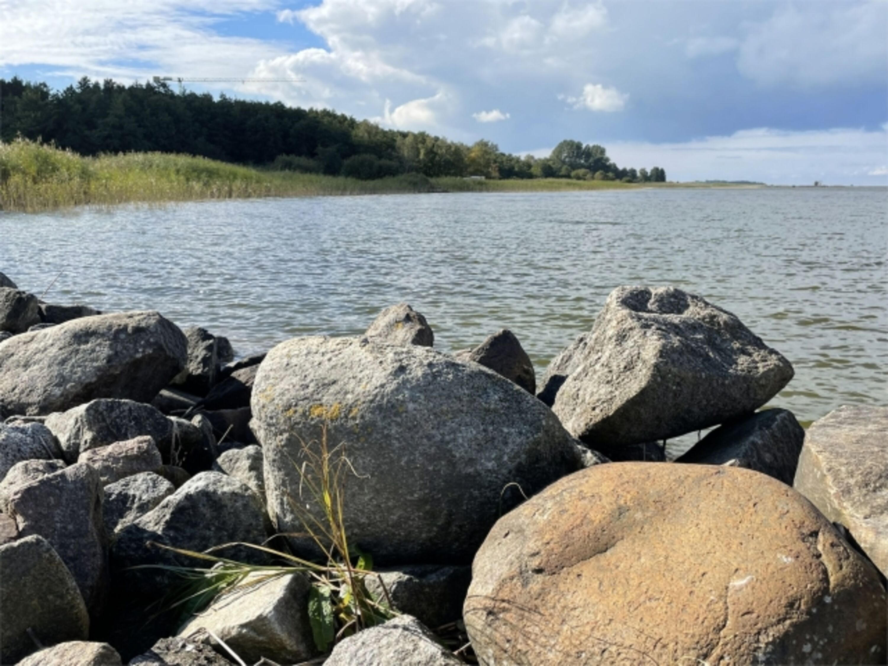 Bodden