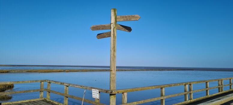 Ein Steg direkt ins Wasser