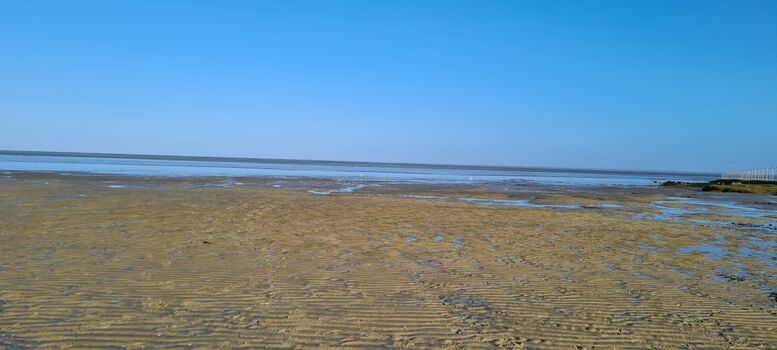 Meer, Strand und Schlick