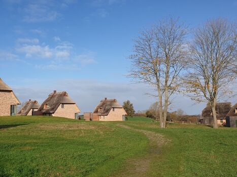 Ausblick von der Terrasse im Frühjahr