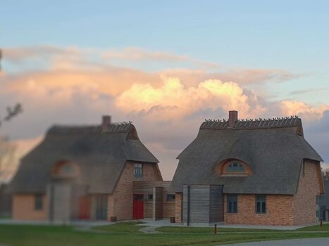 Malerhaushälfte Erlenbruch unter Reet