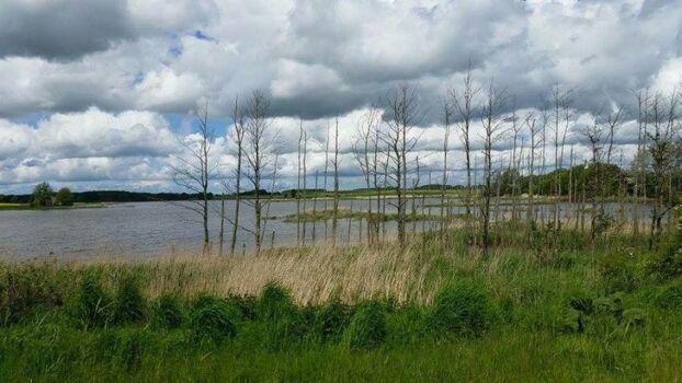 Direkte Umgebung Mellnitz-Üselitzer Wiek