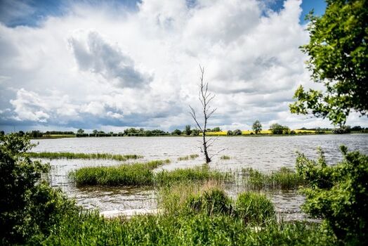 Direkte Umgebung Mellnitz-Üselitzer Wiek