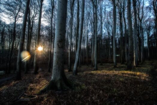 Nationalpark Jasmund im Winter  