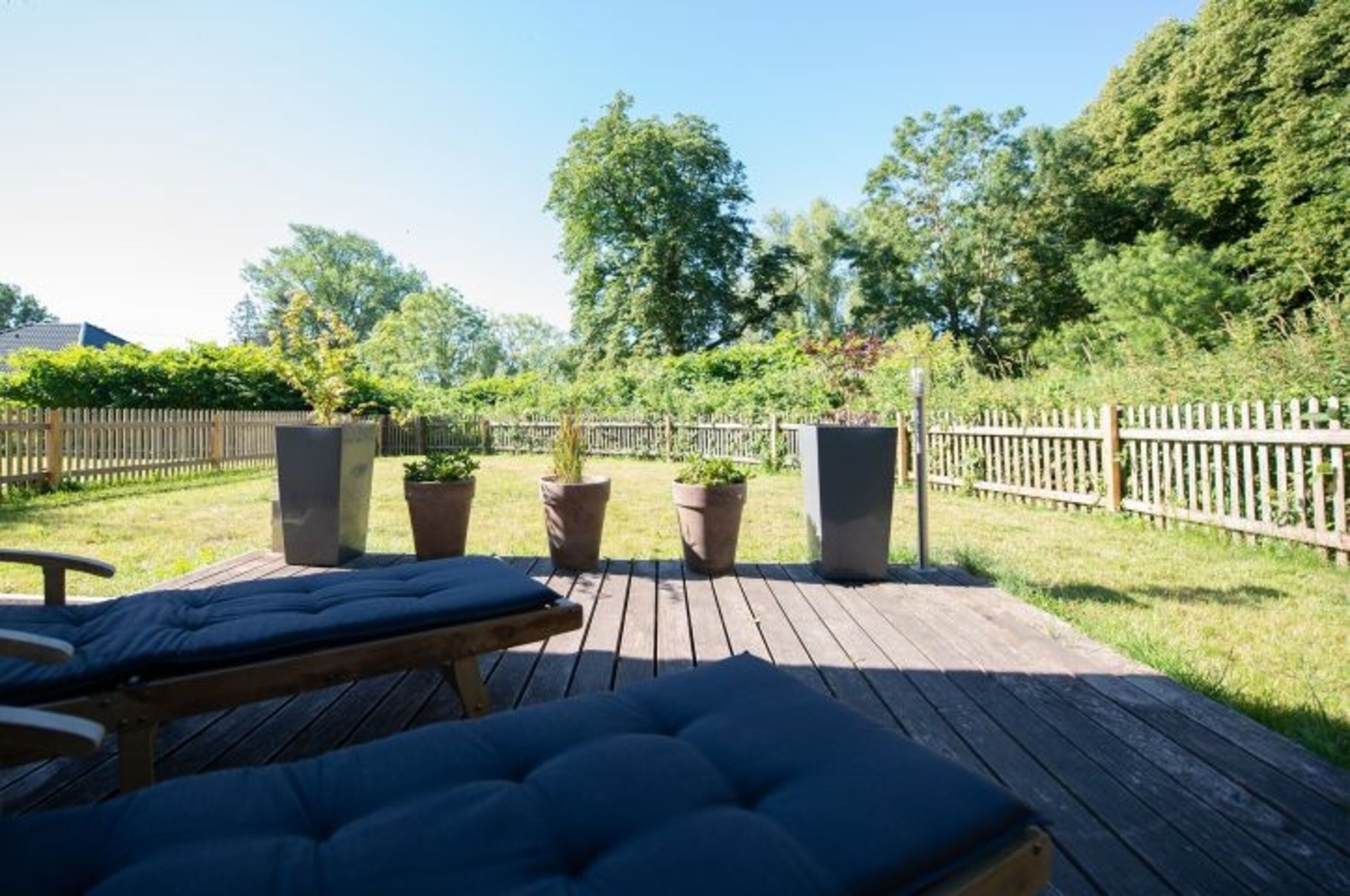 Blick in den Garten