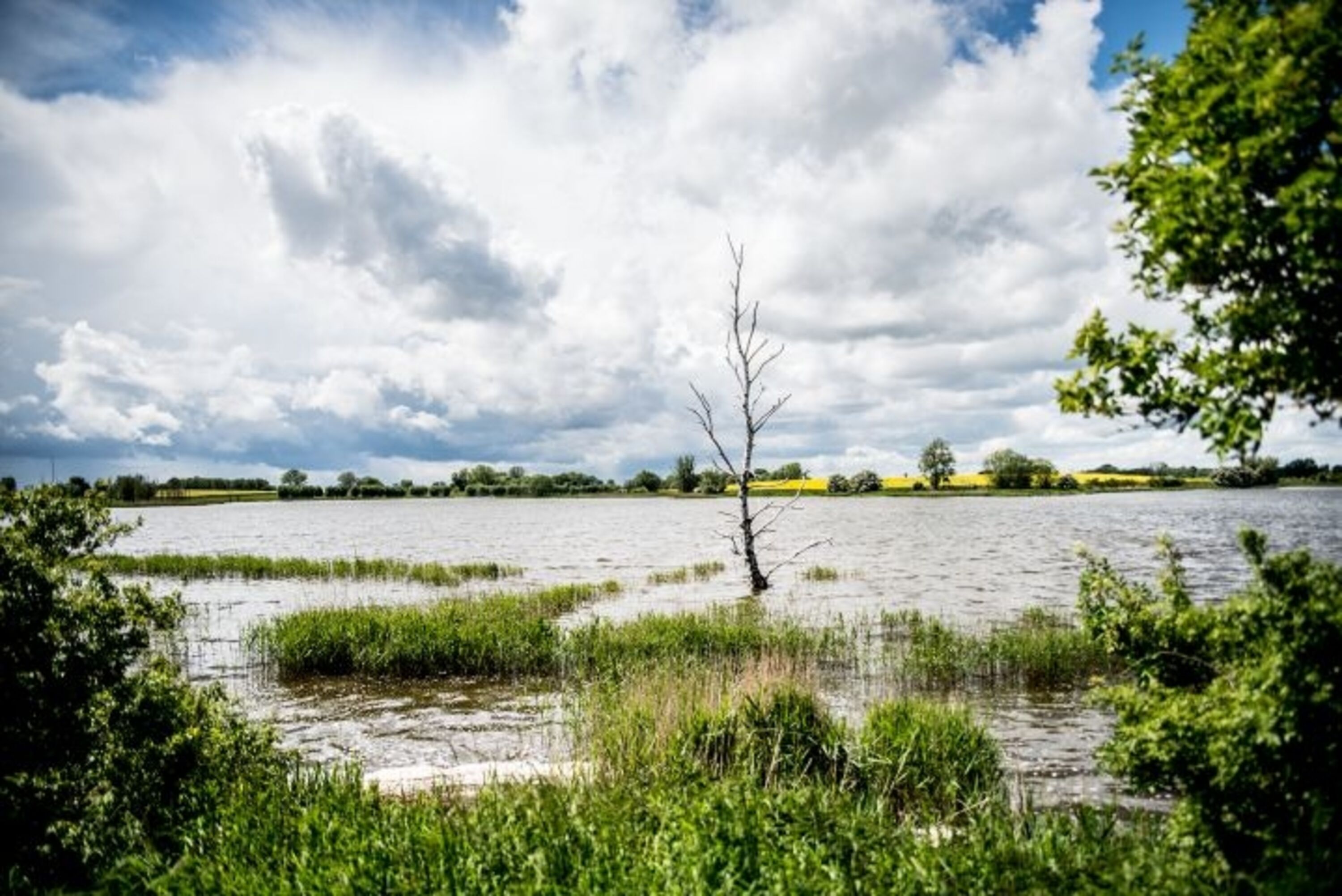 Direkte Umgebung Mellnitz-Üselitzer Wiek