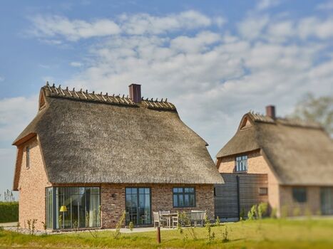 Malerhaus Nebeltreiben - Doppelhaushälfte unter Reet