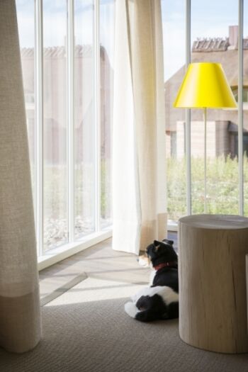 Auch Ihr Vierbeiner ist herzlich willkommen