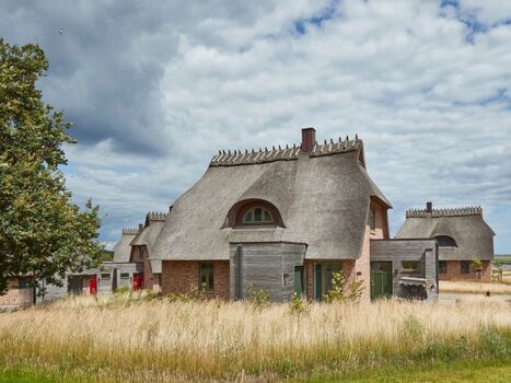 Künstlerkate Zwergbirke