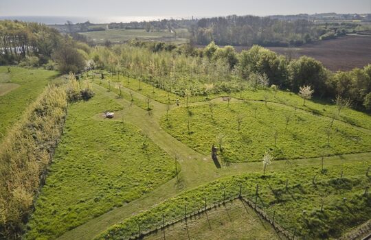 10.000 qm Hundewiese