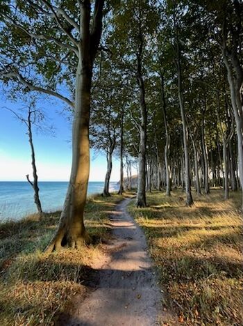 Hochuferweg zum Kap Arkona