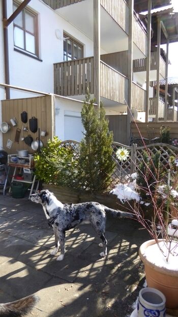 Südterrasse pro Wohneinheit abgetrennt