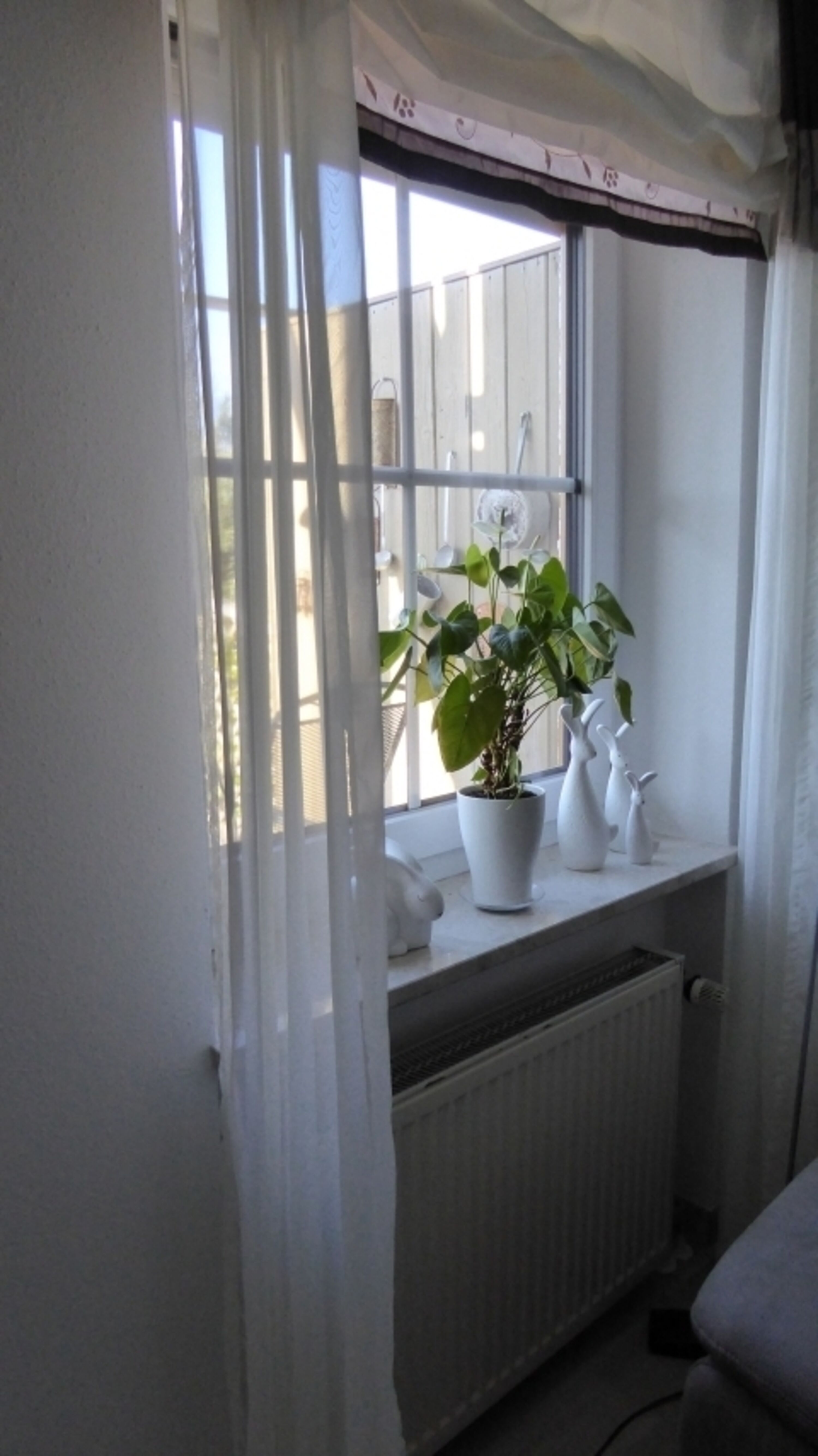 Bild 19