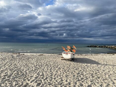 Die Fischer fahren fast jeden Tag raus. 