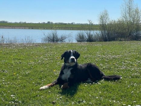 viel Platz für die Fellnasen