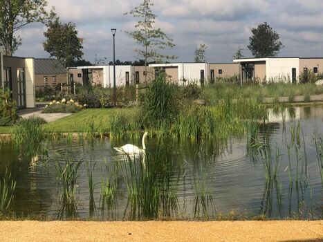 eingebettet in einen traumhaft schönen Park