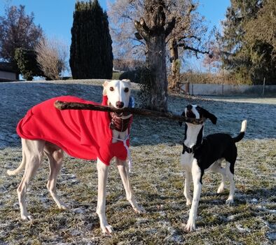 Viel Platz zum Spielen