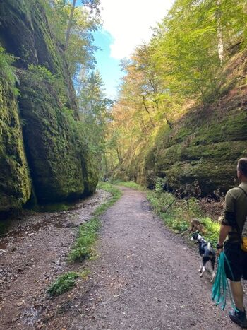 Die Drachenschlucht bei Eisenach