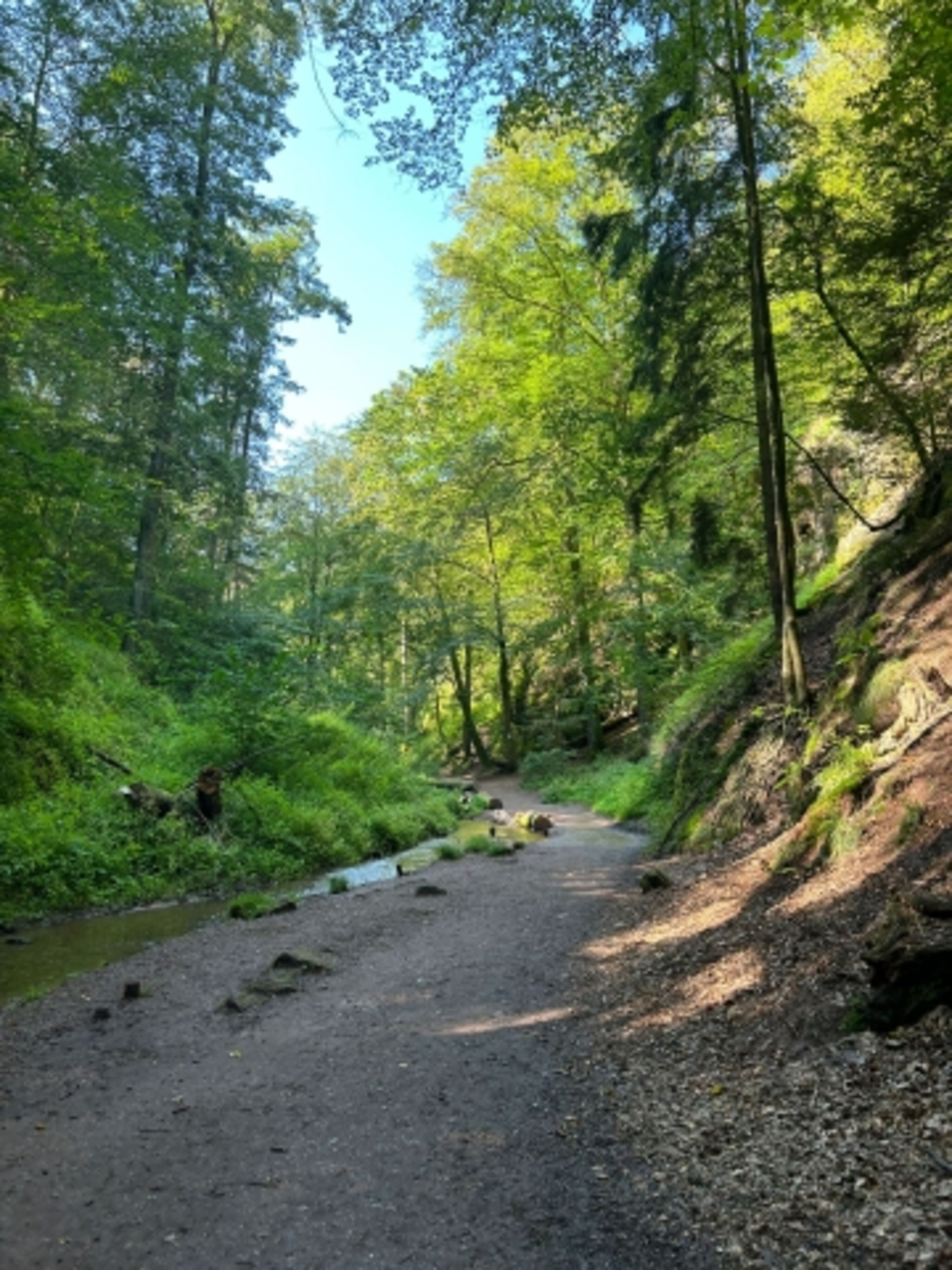 Natur pur