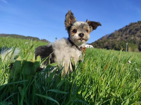 Wanderungen für Klein und 