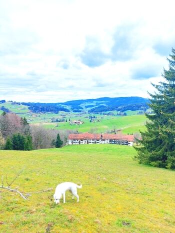 Unsere Ferienwohnung von oben