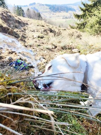 Trinkpause zwischendurch