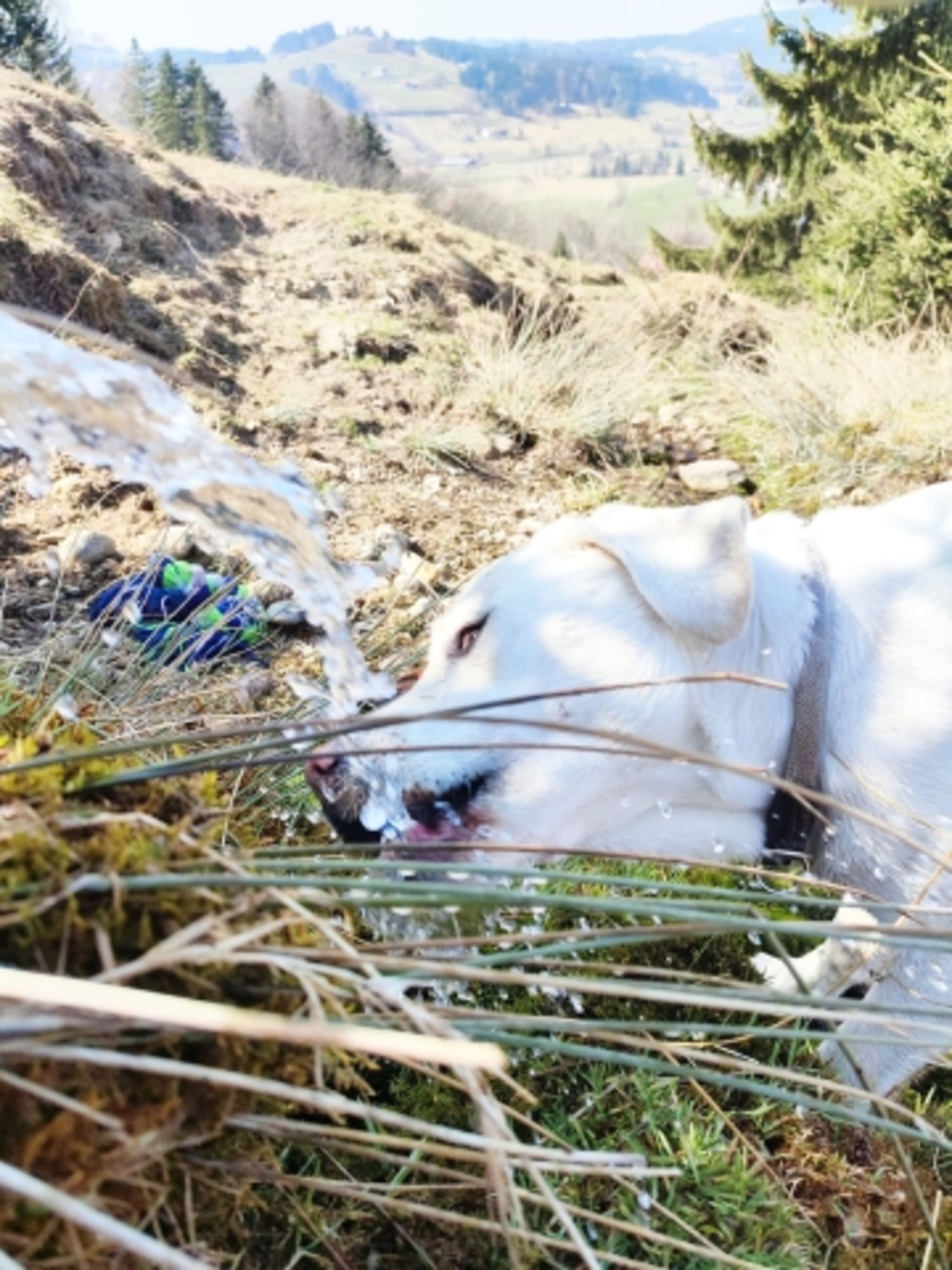 Trinkpause zwischendurch