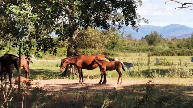 Naturschutzgebiet gegenüber