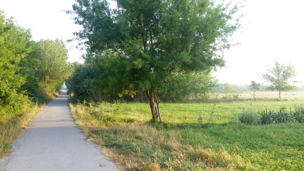 Naturschutzgebiet gegenüber des Ferienhauses