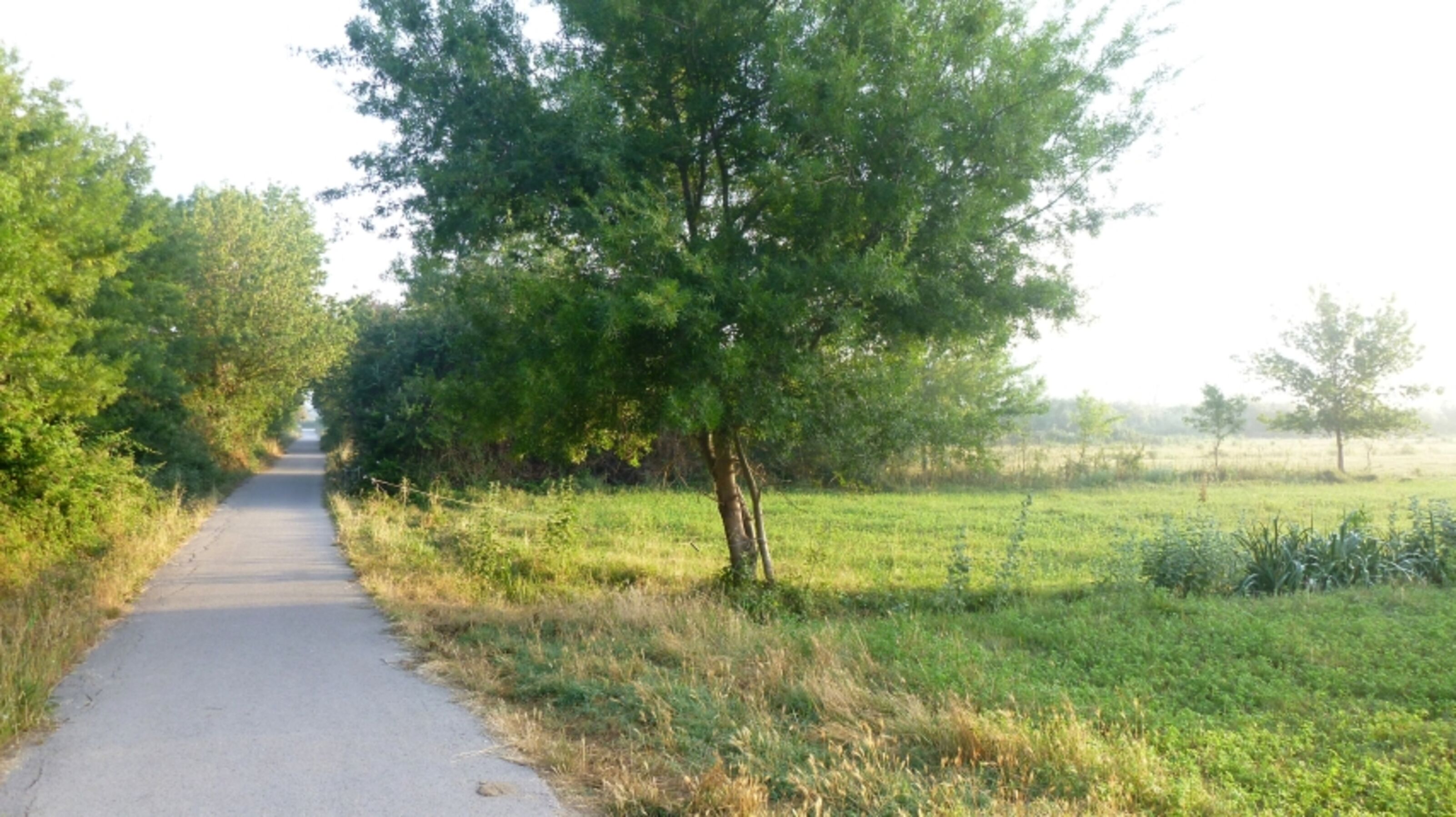 Naturschutzgebiet gegenüber des Ferienhauses