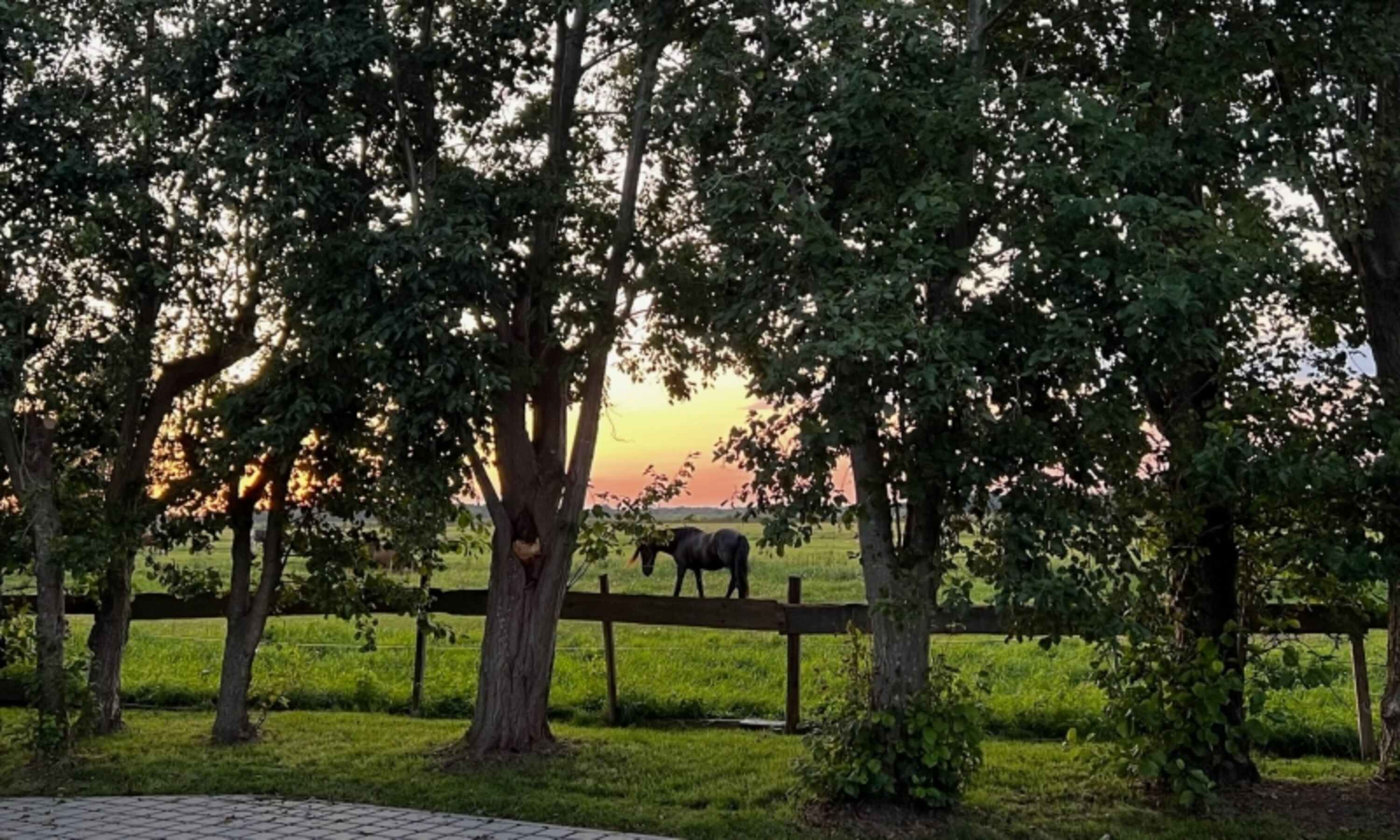 Blick vom Parkplatz