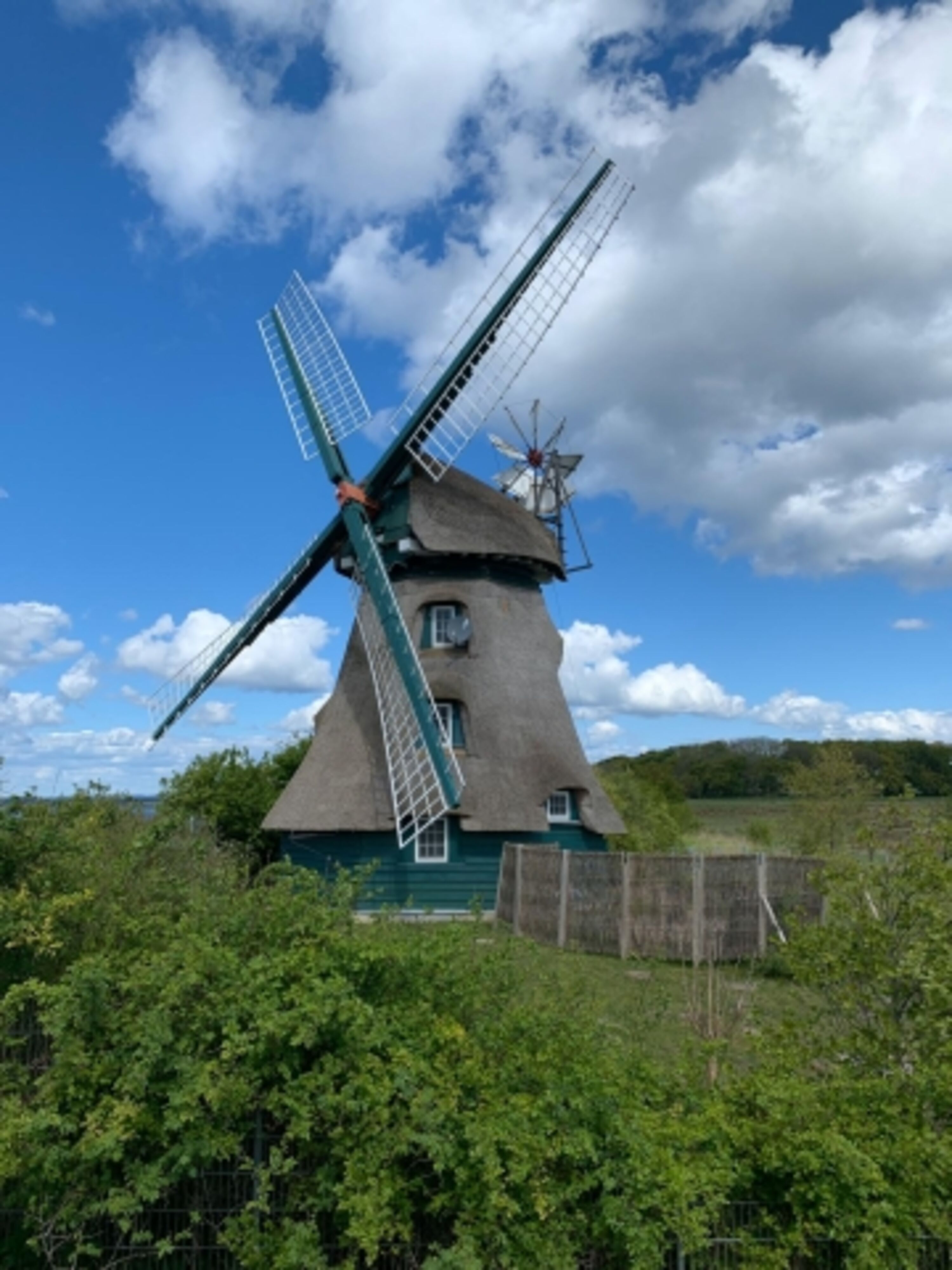 Bild 12