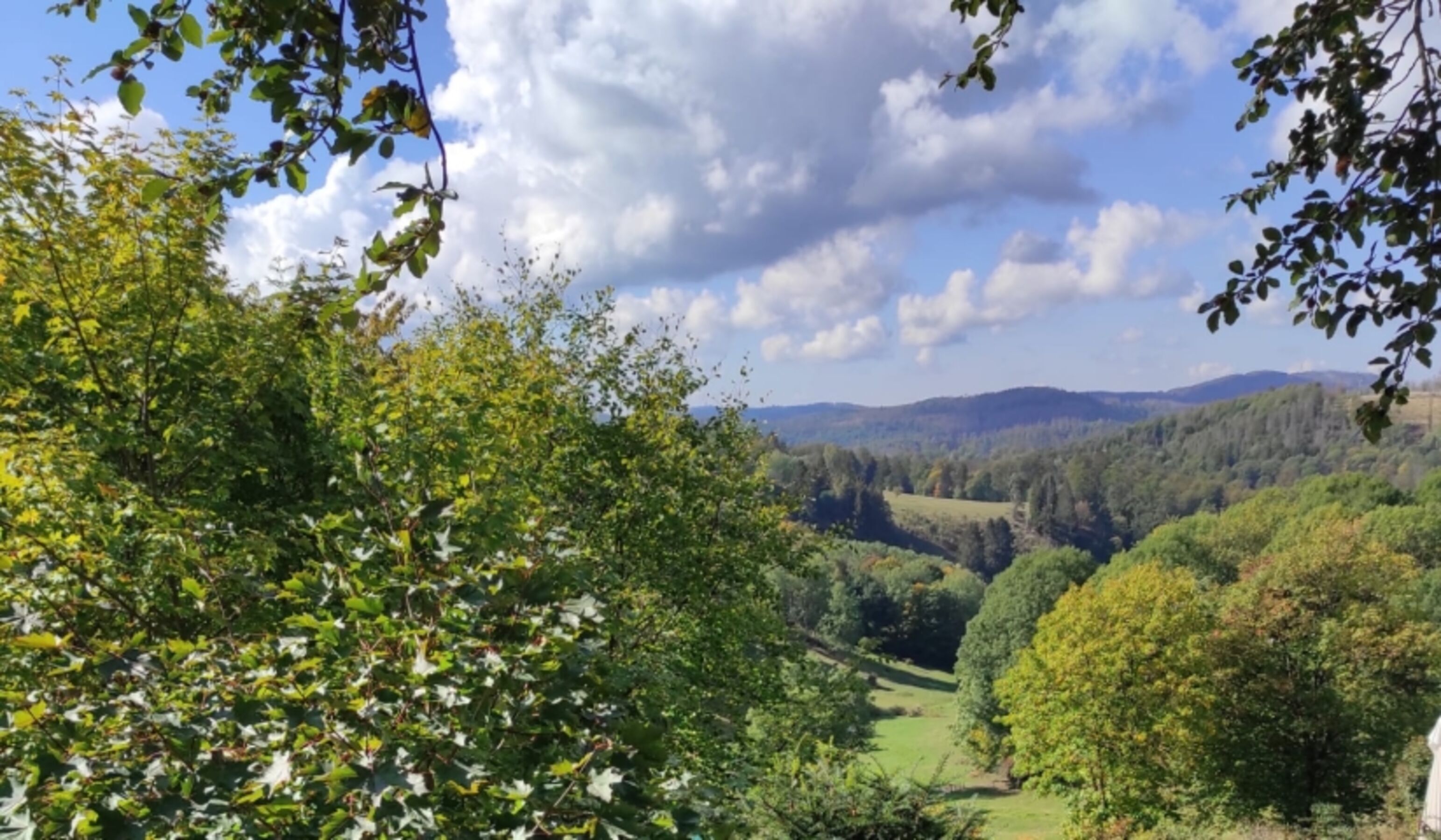 Bild 12