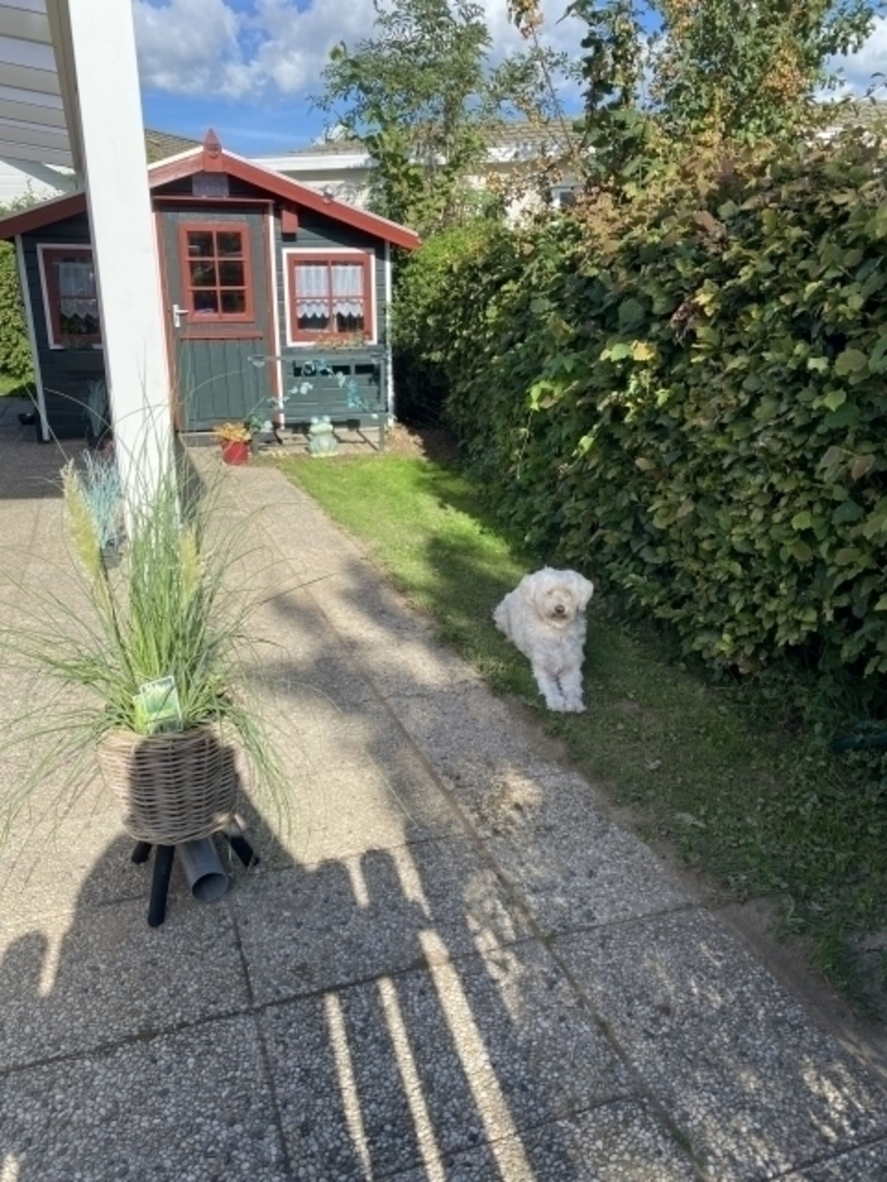Bild 5