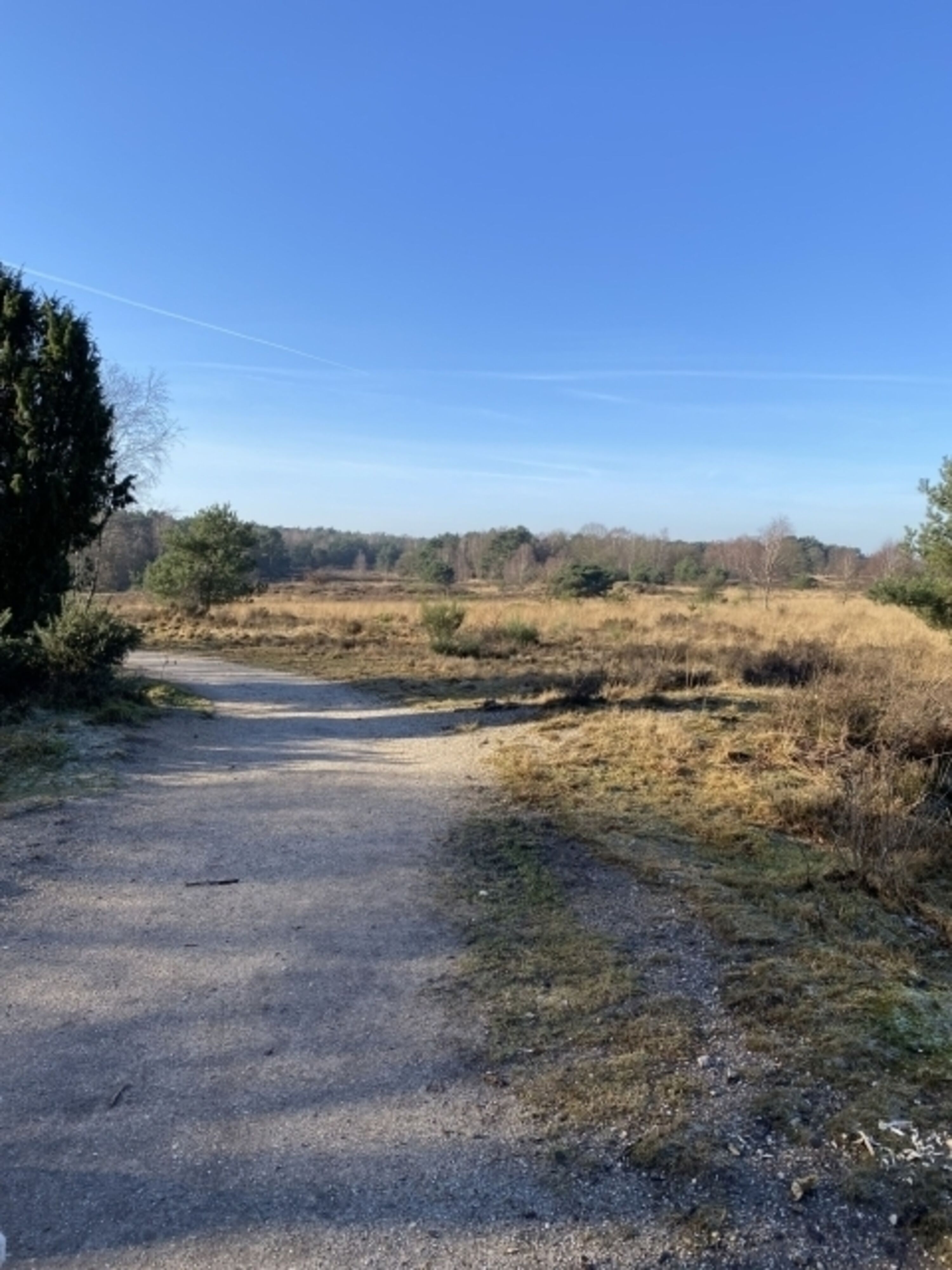 Bild 17