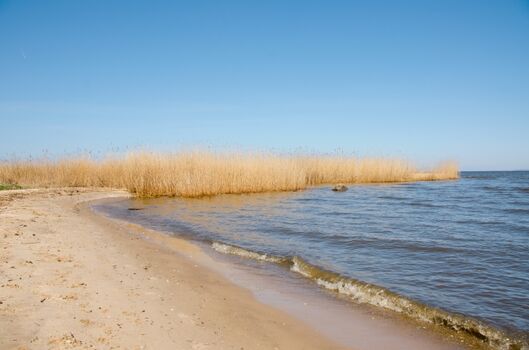 Strand zum Baden mit dem Hund