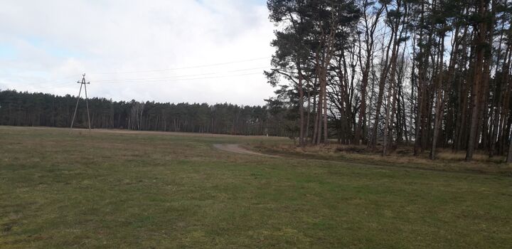 Wanderweg am Wald entlang