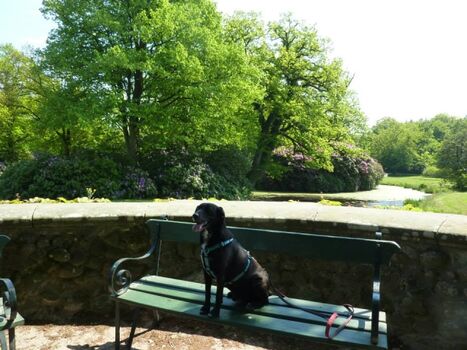 Schlosspark Lütetsburg