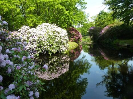 Schlosspark Lütetsburg