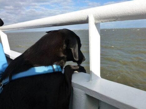 Fähre zur Insel Baltrum