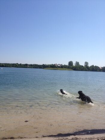 Tannenhausen-mit Hundebadesee 